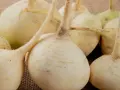 Grupka świeżych, białych rzep na płóciennym tle. Korzenie i łodyżki dodają im naturalnego uroku.
