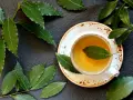 Aromatic napar z liści laurowych w filiżance, otoczony świeżymi liśćmi laurowymi na ciemnym tle.