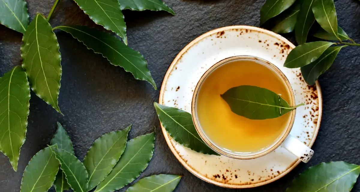 Aromatic napar z liści laurowych w filiżance, otoczony świeżymi liśćmi laurowymi na ciemnym tle.