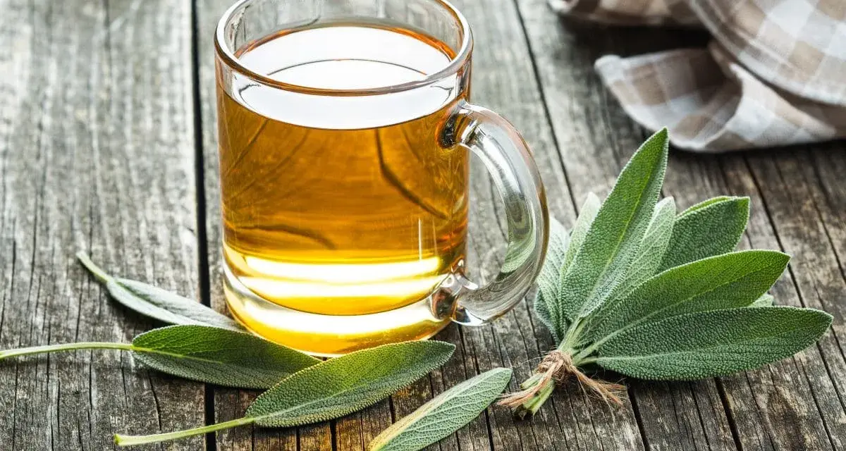 Ból brzucha? Ranking ziół: Szybka i naturalna ulga!