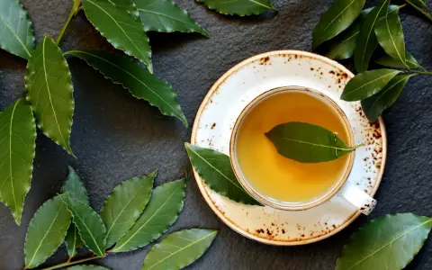 Aromatic napar z liści laurowych w filiżance, otoczony świeżymi liśćmi laurowymi na ciemnym tle.