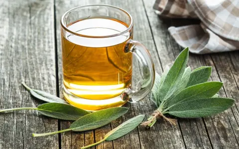 Ból brzucha? Ranking ziół: Szybka i naturalna ulga!