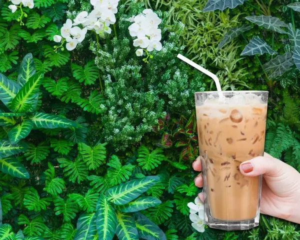 Ile kalorii ma kawa latte z ekspresu? Odkryj, jak je kontrolować