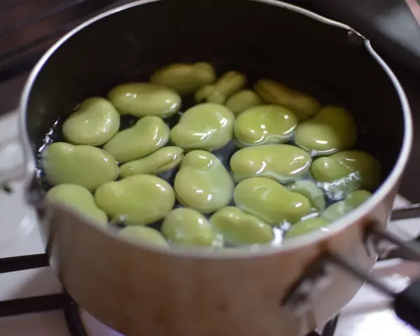 Zielony bób gotuje się w garnku na kuchence. Prosty sposób, jak ugotować bób, by był pyszny.
