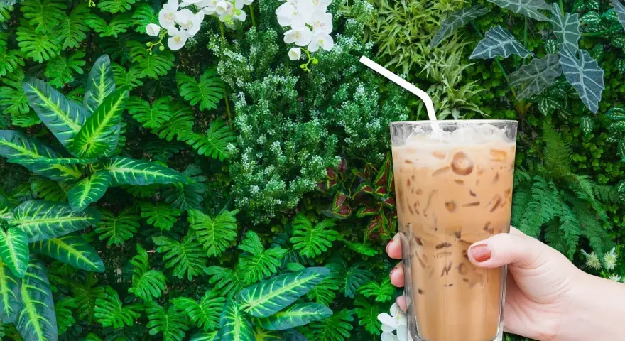 Ile kalorii ma kawa latte z ekspresu? Odkryj, jak je kontrolować