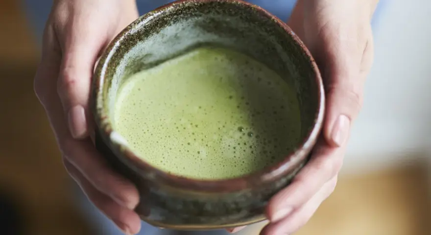 Która zielona herbata jest najzdrowsza? Matcha, Gyokuro czy Sencha?