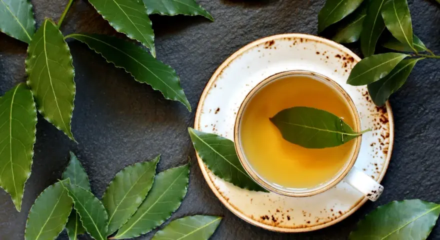 Aromatic napar z liści laurowych w filiżance, otoczony świeżymi liśćmi laurowymi na ciemnym tle.