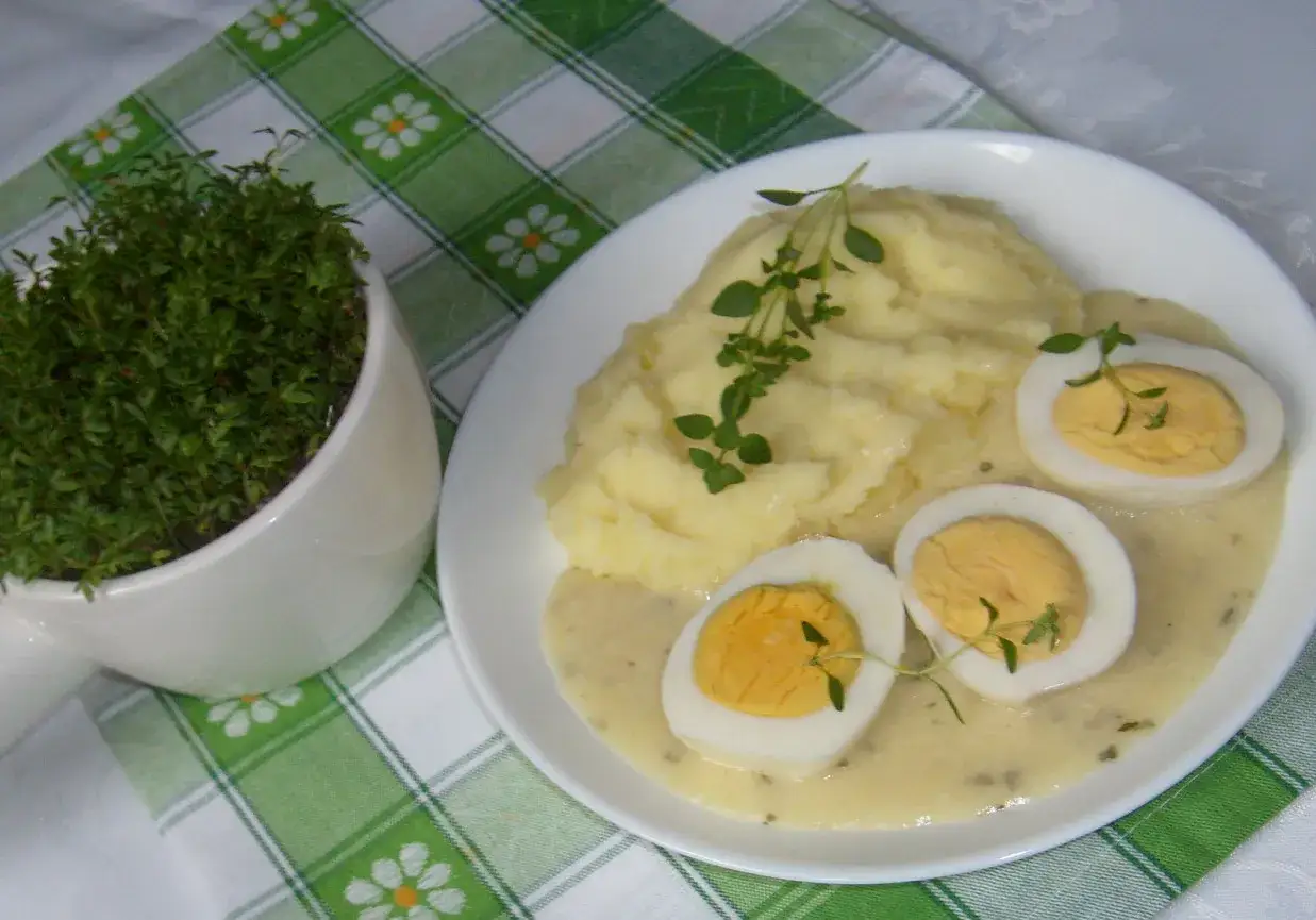 Pyszne puree ziemniaczane z jajkami w sosie chrzanowym, ozdobione świeżym tymiankiem. Obok doniczka z rzeżuchą.