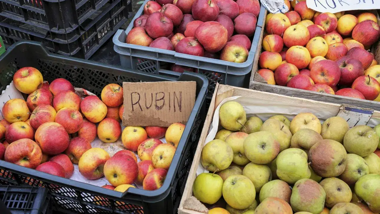 Kosze pełne rumianych jabłek, idealnych na szarlotkę. Wśród nich odmiana Rubin, pachnąca jesienią.